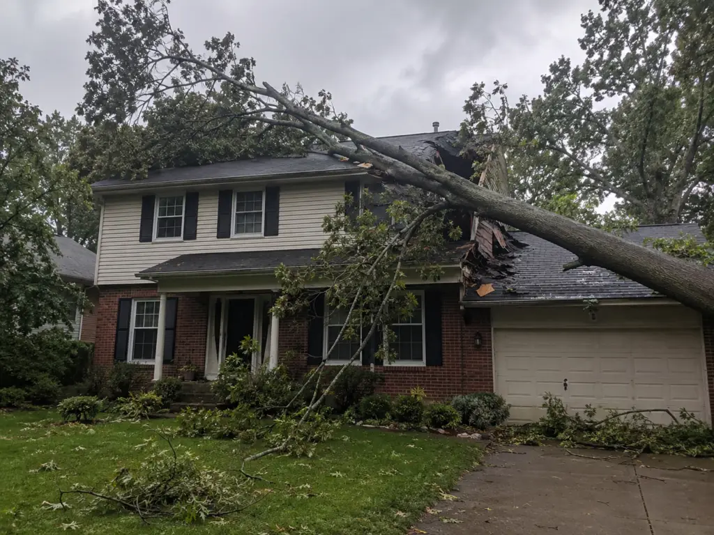 Fallen Tree on Your Roof