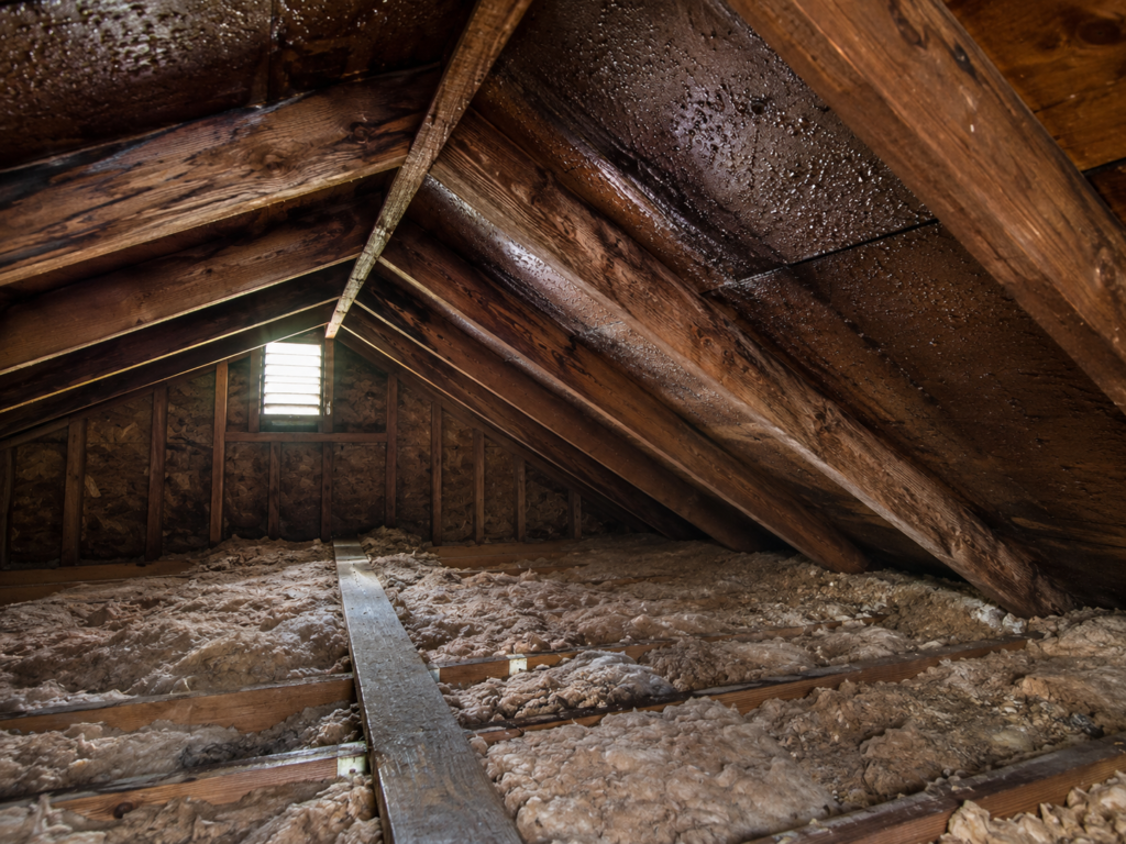 attic moisture roof problems