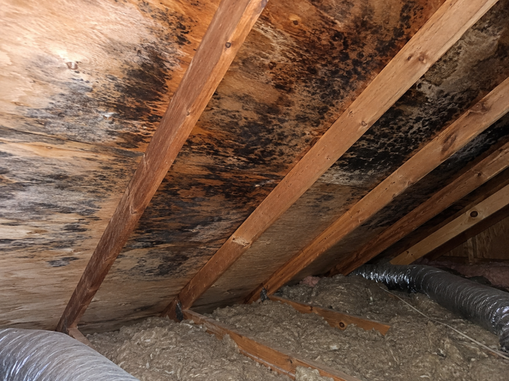 attic moisture roof problems