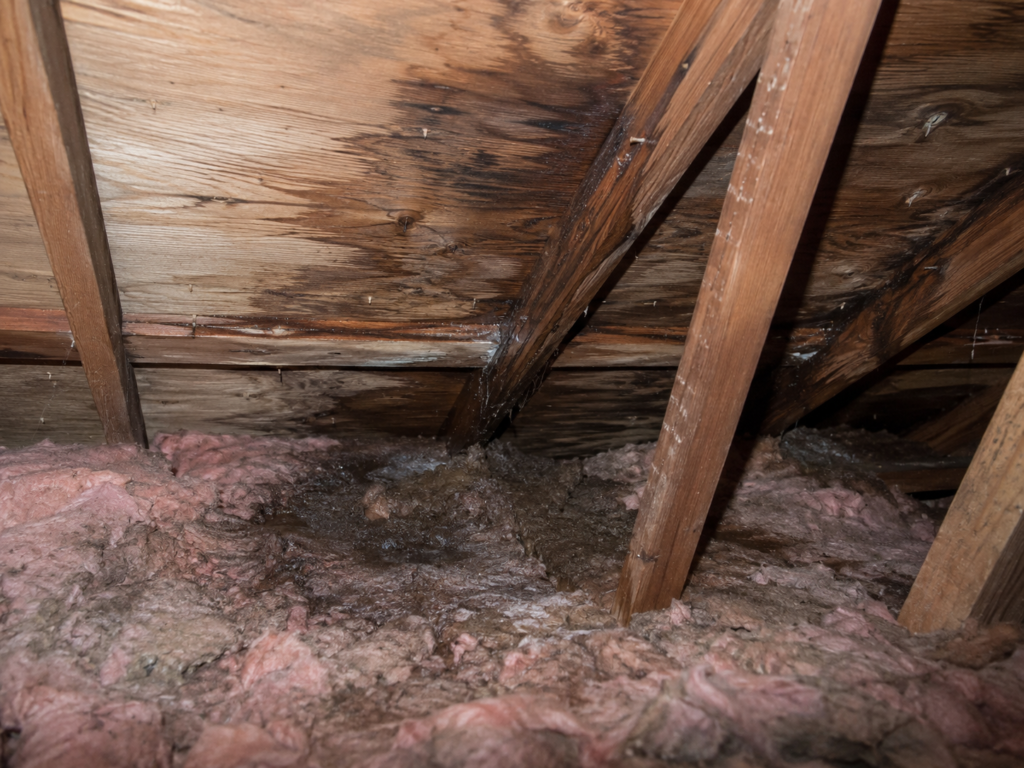 attic moisture roof problems
