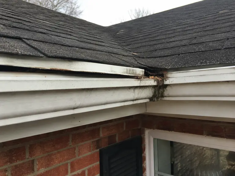 drip edge roof problems