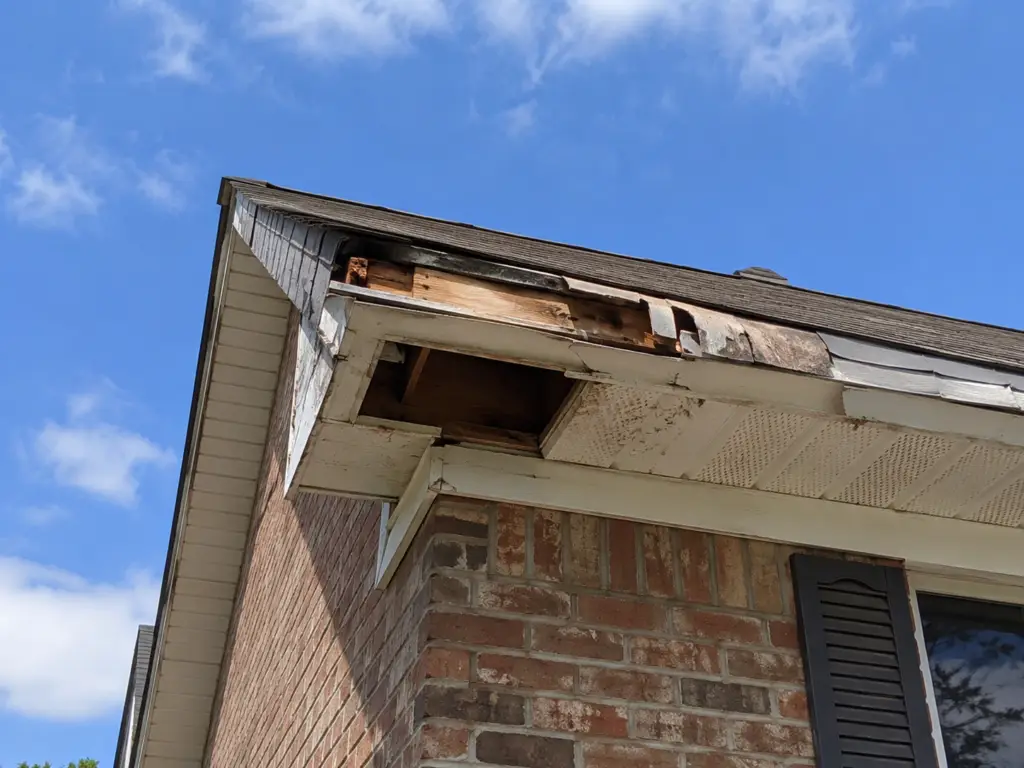 roof edge damage signs