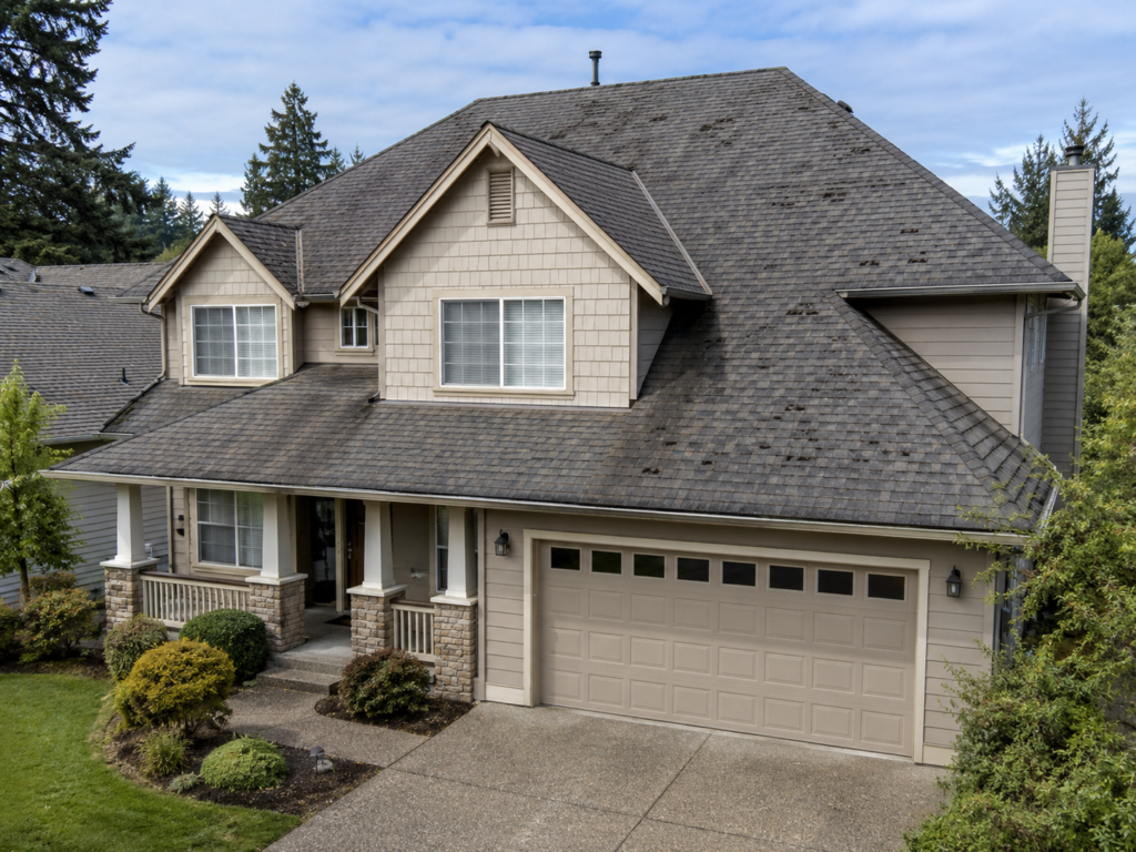 roof shingle blistering signs