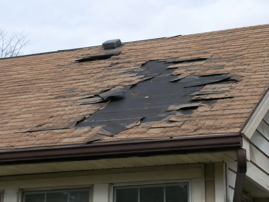 roof underlayment damage signs