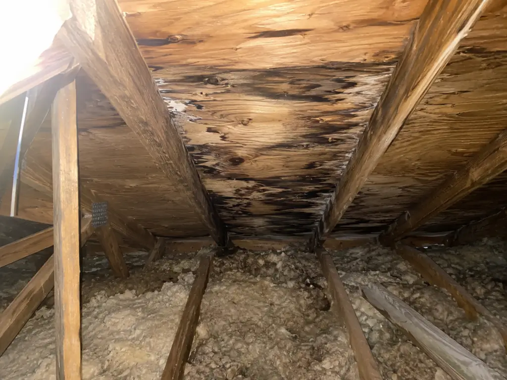 roof underlayment damage signs