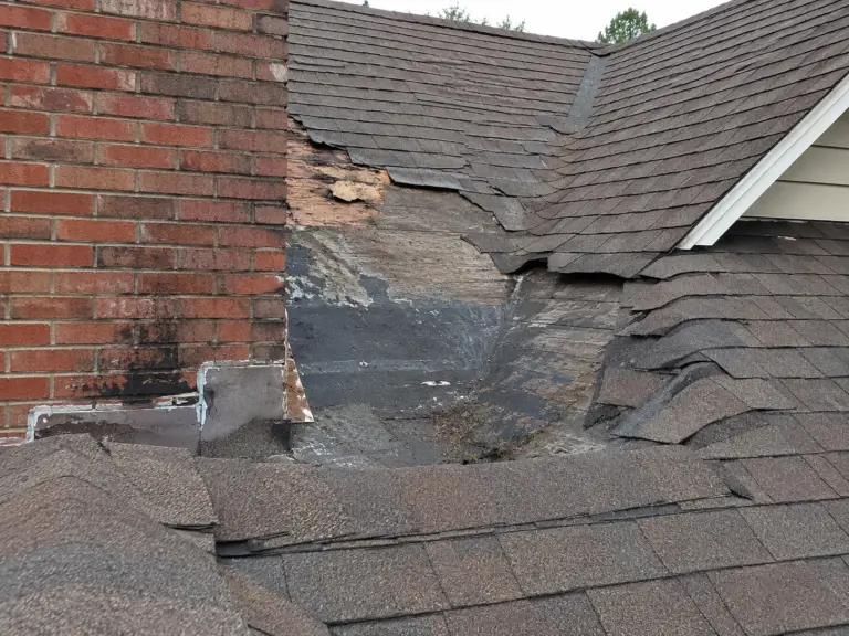roof underlayment damage signs