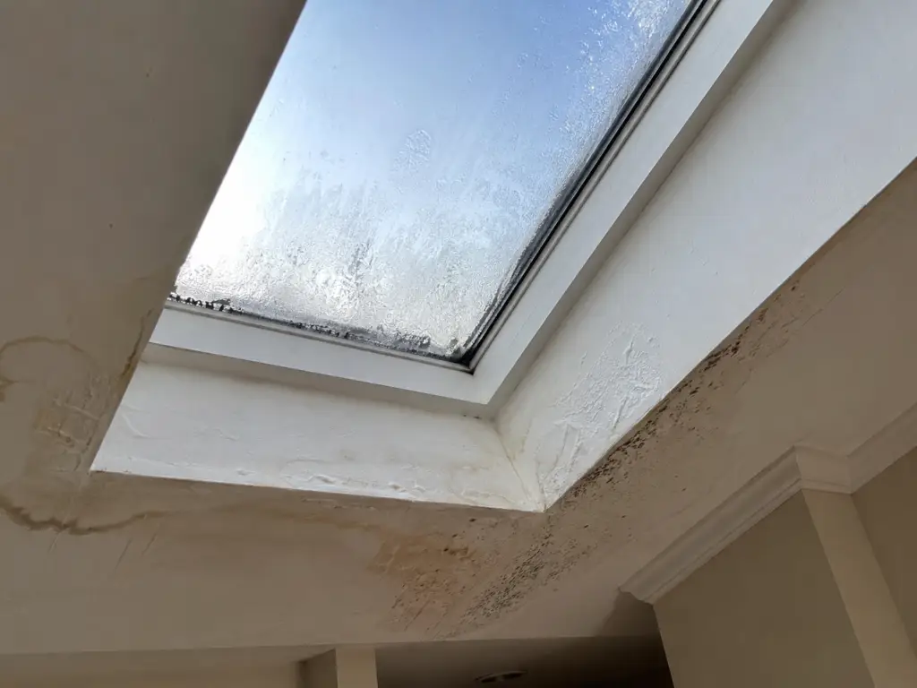 skylight leak repair signs