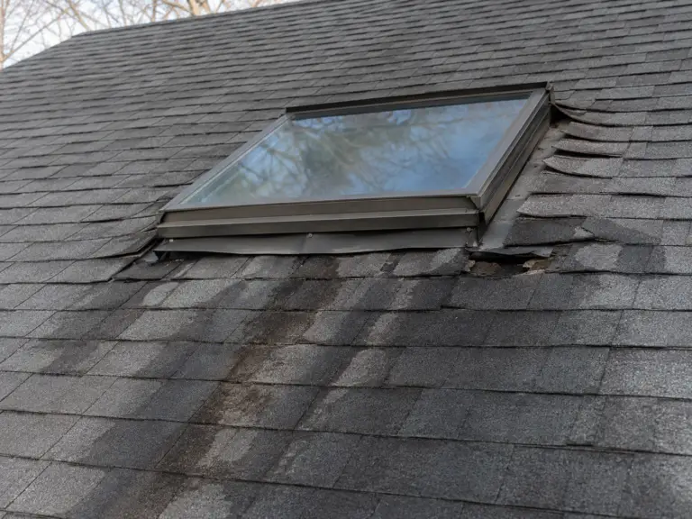 skylight leak repair signs